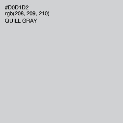 #D0D1D2 - Quill Gray Color Image